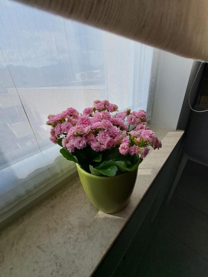 Apartment Alexandra View *