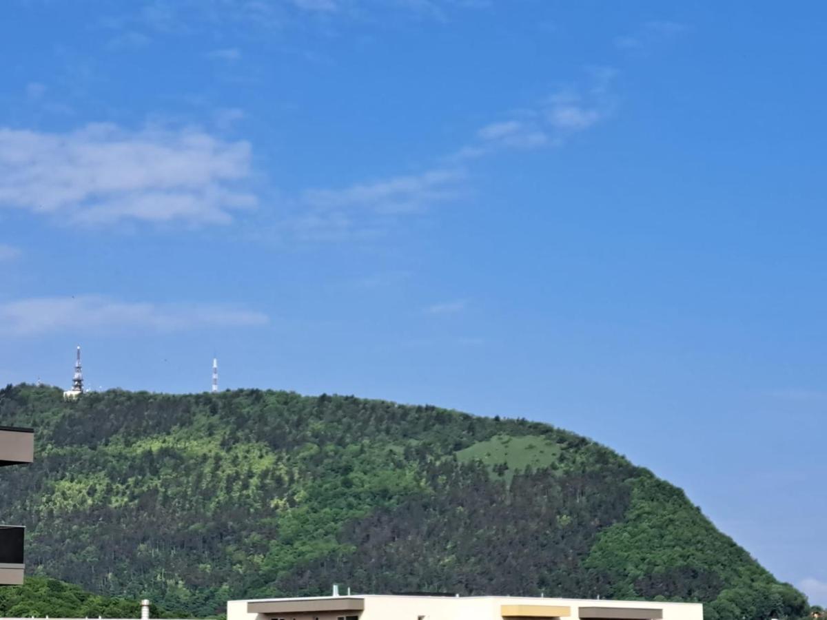 Alexandra View Apartment Brasov